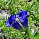 용담초등학교 이미지