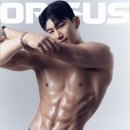 필라걸프리미엄 | [선릉역PT 헬스장] 헬스보이짐&필라걸 박강선 선생님 찐 후기!