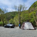 왕소나무집 이미지