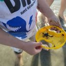 방아머리 이미지