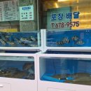 백산수산 이미지