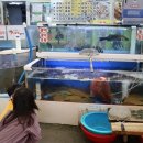 안면도수산시장 이미지