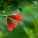 류충걸 묘소 및 신도비 이미지