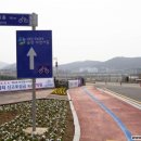 구난이약나무마을 이미지