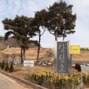 작은정원 이미지