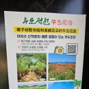 봄꽃힐링투어 | 우도 가볼만한 곳, 우도정원 제주투어패스로 간 후기