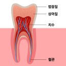 영양치과의원 이미지