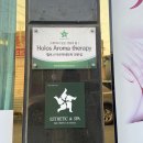 휠로스 인 김미주 스킨케어 | 휠로스 테라피 김미주 스킨케어 경산 피부관리 추천