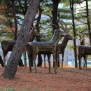 우제류를위하여 이미지