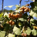 숲속농장 이미지