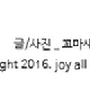 미스터피자 부여점