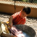 빨래쟁이 이미지