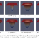 700108 | AngularGrad: A New Optimization Technique for Angular Convergence of Convolutional Neural Networks