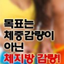 초지V점핑