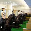 대원포티스 이미지