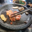 육뽈