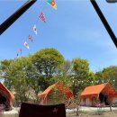 함평자연생태글램핑앤오토캠핑장지점 | 🏕️ 포천 캠핑장 포천 글램핑앤카라반, 캠핏이 골랐어요!