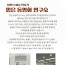 캘리그라피 입문 이미지