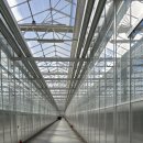 고흥팜 | 고흥 딸기 청년농부가 키운 다디단딸기 스마트팜 직거래로 만난 싱싱함!