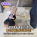 신디농장 이미지