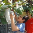 화동중화로 이미지