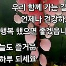 늙음은 자연(自然)의 섭리(攝理)로 여겨야... 이미지