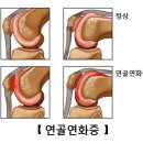 세븐티식스 퍼스널트레이닝 이미지