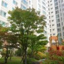 진흥로1 이미지