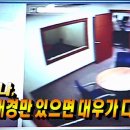 육주 - 춘천시 | 육주