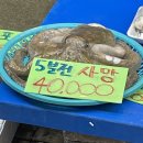 장자호수공원 장미터널 | 2025년 6월 일기 2 장자호수공원 장미축제