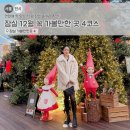 그림책 속 보타니컬 힐링아트 | 잠실 놀거리 추천! 12월 꼭 가볼만한 곳 4코스 (마켓·팝업·전시)