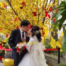 한국 남자와 결혼하는 것에 대한 젊은 베트남 여성의 생각 이미지