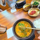 곡성 세계 장미축제 꿀 날씨 후기! 남원 광한루원까지 알차게 다녀옴