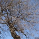 만경읍사무소 이미지