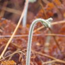 남해-남해-남해-비-3 이미지