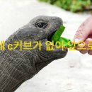 금손언니 이미지