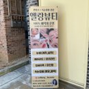 네일윤윤