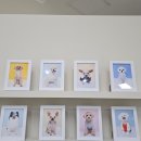 사진을 찍다 | 오랜만에 증명사진을 찍다｜미우사진관 금천구청점