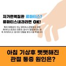 류마제통의원 이미지