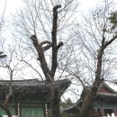 천안 태화산 광덕사(天安 泰華山 廣德寺).충남