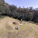 김준룡 장군 묘 및 신도비 이미지