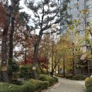 삼성래미안라센트 아파트 버스정류장 옆 | [종암동] 월곡 래미안라센트