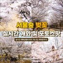 숲과벗 이미지
