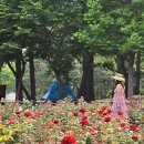 송도 해돋이공원 이미지