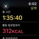 핑운동