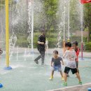 강서구-9 이미지