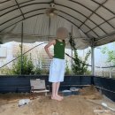 산너머그집꿀 | 대구 동물 먹이주기 체험 내돈내산 산너머그집꿀카페