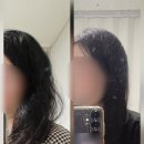 더보다 | 바른뷰티 더보다 원클리닉 트리트먼트 후기: 미용실 트리트먼트, 단백질 트리트먼트, 셀프 클리닉