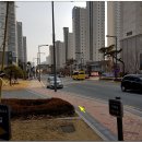 고운뜰길 이미지