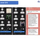 골든트리라이프